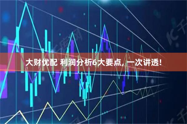 大财优配 利润分析6大要点, 一次讲透!